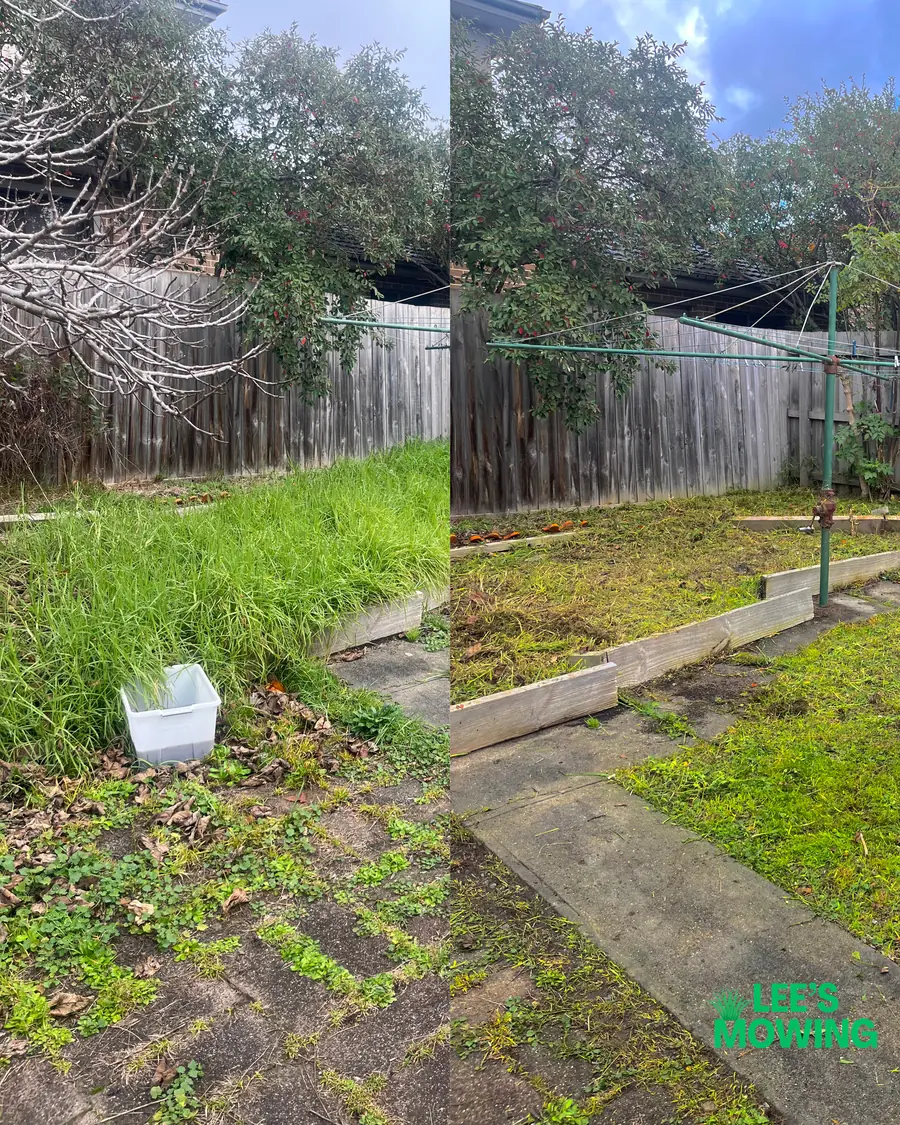 Paths and garden edges hidden by overgrown grass, then cleared back to the timber edging