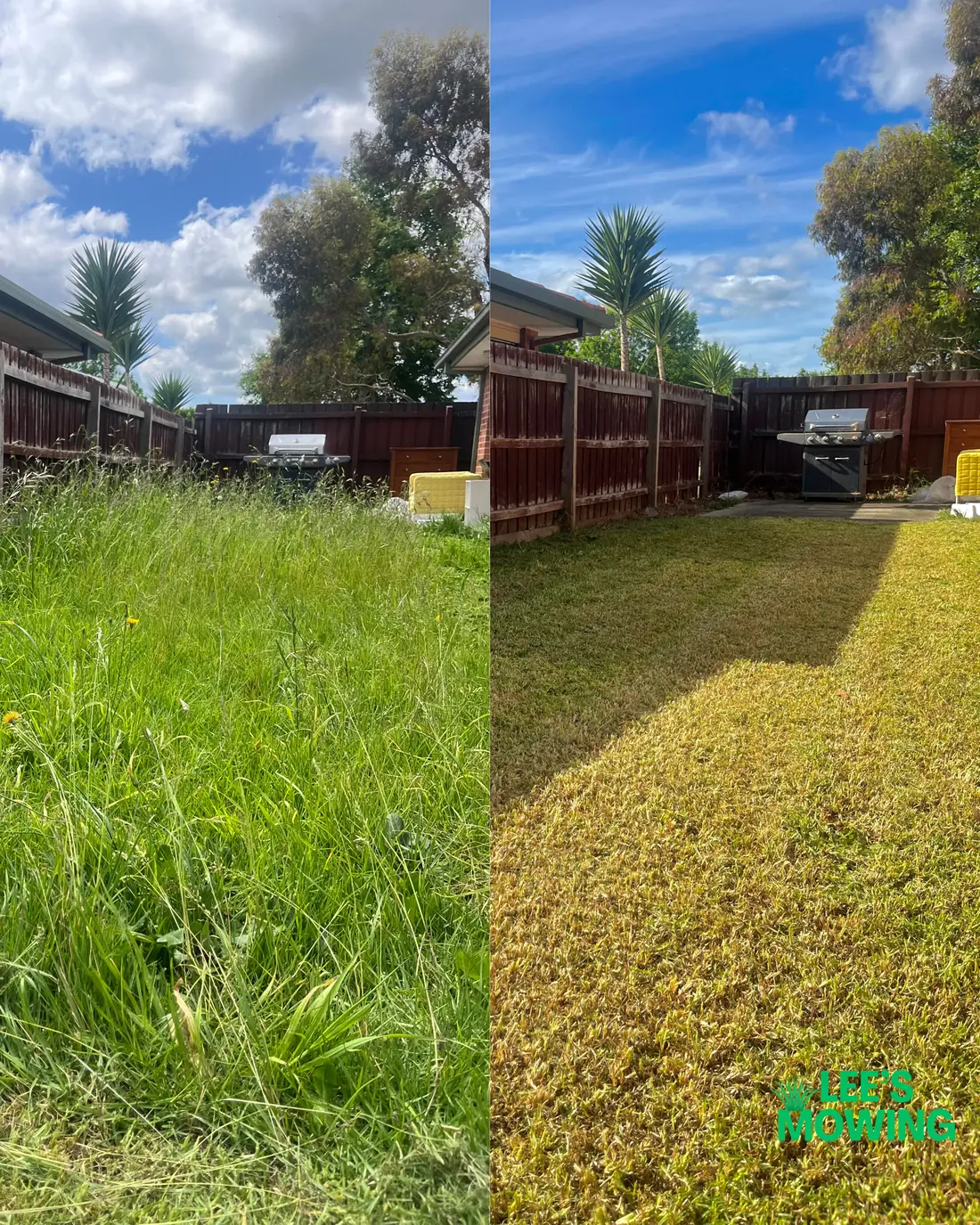 A back lawn grown knee high on the left, and the same lawn cut and striped on the right