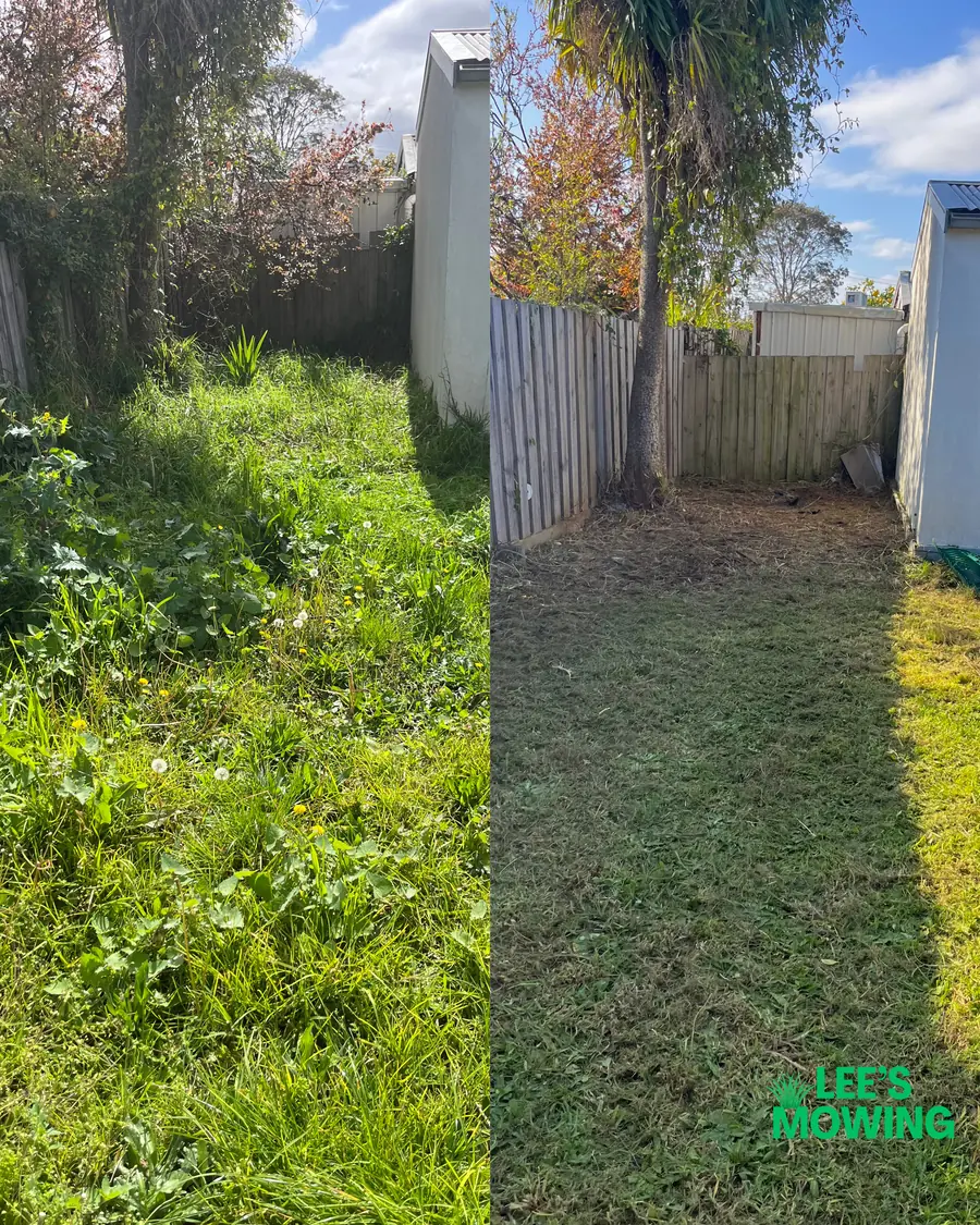 A back yard lost under tall weeds, and the same yard cut flat and clear