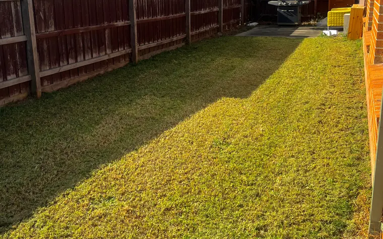 A finished back lawn running along a paling fence, cut even and clear of clippings